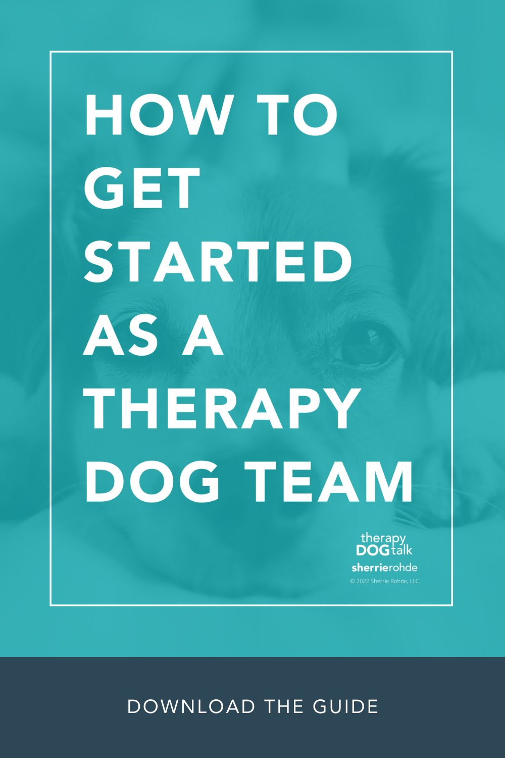 how-to-get-started-as-a-therapy-dog-team-sherrie-rohde